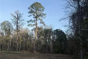 SW 17th St Rd, Ocala, FL 34481 - Photo 1