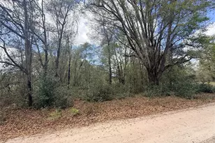 Lots 34-36 NW 52nd Ave, Ocala, FL 34482 - Photo 1