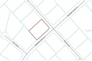 Tbd SW 56th Ave, Ocala, FL 34473 - Photo 1