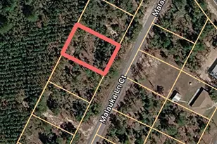 Malauka Ln Ct, Ocklawaha, FL 32179 - Photo 1