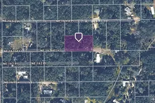 Tbd NE 162nd Ln, Citra, FL 32113 - Photo 1