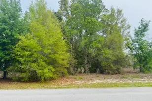 SW 83rd St, Dunnellon, FL 34431 - Photo 1