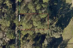 Tbd SW 130th Ct, Ocala, FL 34481 - Photo 1