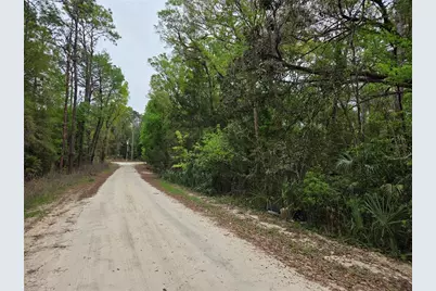 0000 NE 138th Terrace, Williston, FL 32696 - Photo 1