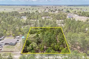 Tbd SW 137th Ct Rd, Dunnellon, FL 34432 - Photo 1