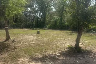 9465 SE 195th Ave, Ocklawaha, FL 32179 - Photo 1