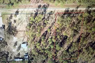 Tbd SW 90th Pl, Dunnellon, FL 34432 - Photo 1