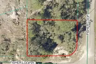 Lot 76 Fisher Loop, Ocklawaha, FL 32179 - Photo 1