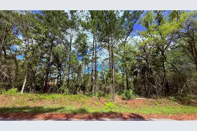 Lot 15 Bay Court, Ocklawaha, FL 32179 - Photo 1