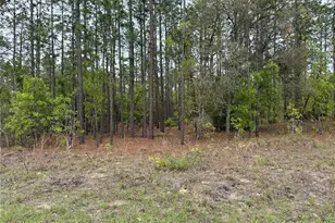 SW 125th Ct Rd, Dunnellon, FL 34432 - Photo 1