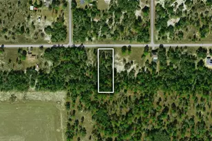 Tbd Tiger Lake Blvd, Dunnellon, FL 34431 - Photo 1