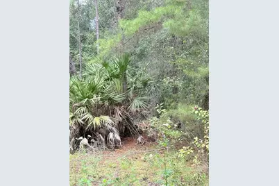 Tbd NE 237th Place, Fort Mc Coy, FL 32134 - Photo 1