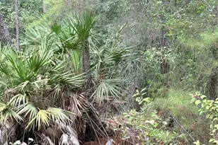 Tbd NE 237th Pl, Fort Mc Coy, FL 32134 - Photo 1