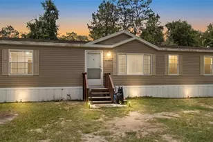 14050 SE 20 St, Morriston, FL 32668 - Photo 1