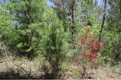 Tbd SW 157th Lane, Dunnellon, FL 34432 - Photo 1