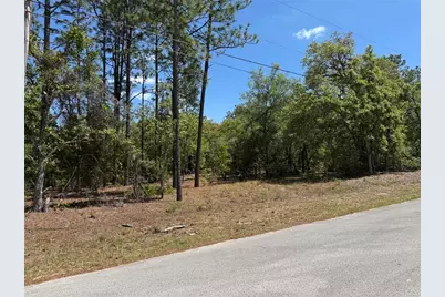 Lot 2 SW 206 Avenue, Dunnellon, FL 34431 - Photo 1