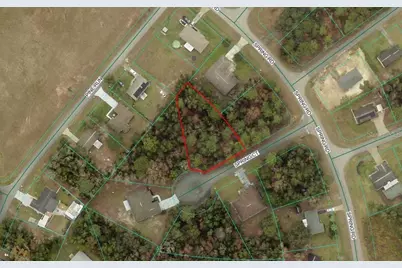 Tbd Lot 20 Spring Court, Ocala, FL 34472 - Photo 1