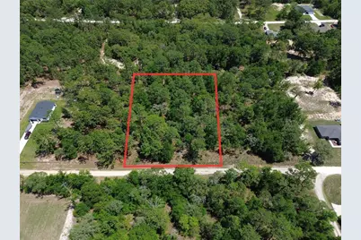 Tbd SW 125th Terrace, Dunnellon, FL 34432 - Photo 1