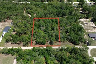 Tbd SW 125th Terrace, Dunnellon, FL 34432 - Photo 1