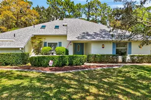 3783 W Birds Nest Dr, Beverly Hills, FL 34465 - Photo 1