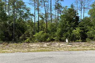 Tbd SW Anchor Blvd, Dunnellon, FL 34431 - Photo 1