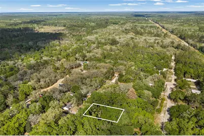 000 NE 153 Street, Fort Mc Coy, FL 32134 - Photo 1