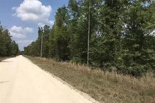 7231 NE 136 Ave, Williston, FL 32696 - Photo 1