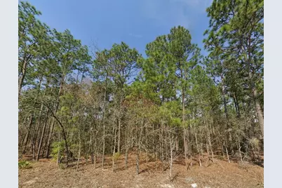 Tbd (Lot 12) SW 128th Terrace Road, Ocala, FL 34481 - Photo 1