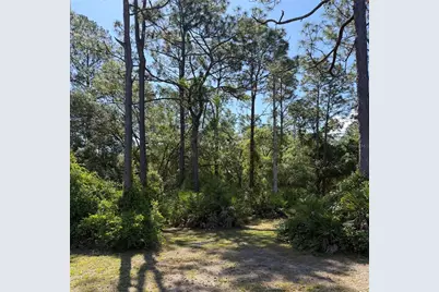 Se 180th Avenue Road, Ocklawaha, FL 32179 - Photo 1