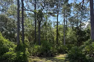 SE 180th Ave Rd, Ocklawaha, FL 32179 - Photo 1