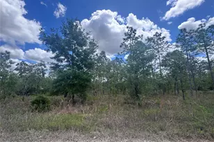 Tbd NE 15Oth Ct, Williston, FL 32696 - Photo 1