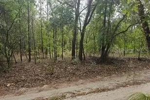00 SW 90 St, Dunnellon, FL 34432 - Photo 1