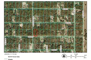 0 SW 125 Ct Rd, Dunnellon, FL 34432 - Photo 1