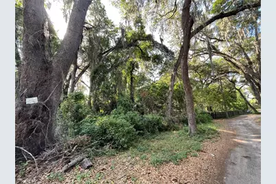 Ne 37th Court, Citra, FL 32113 - Photo 1