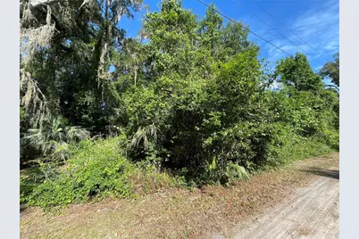 Ne 37th Terrace, Citra, FL 32113 - Photo 1