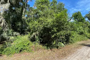 NE 37th Terrace, Citra, FL 32113 - Photo 1