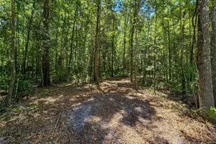 2381 N Jennifer Terrace, Inverness, FL 34453 - Photo 1