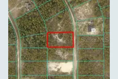 Tbd SW 127th Ave Road, Ocala, FL 34481 - Photo 1