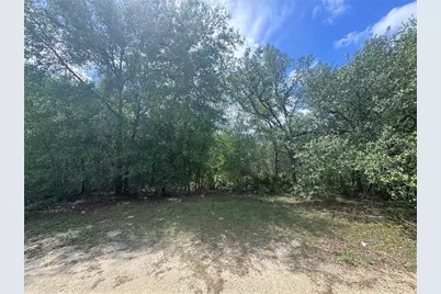 11548 NE 62nd Lane, Williston, FL 32696 - Photo 1