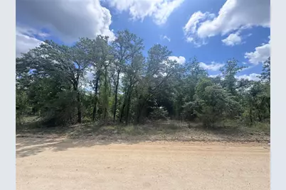 Tbd NE 119th Terrace, Williston, FL 32696 - Photo 1