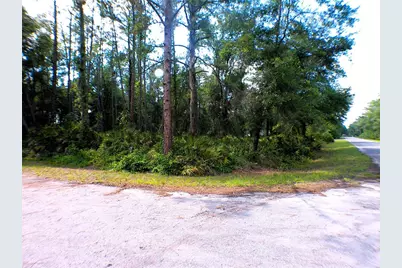 Sequoia Drive, Ocklawaha, FL 32179 - Photo 1
