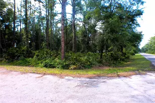 Sequoia Dr, Ocklawaha, FL 32179 - Photo 1