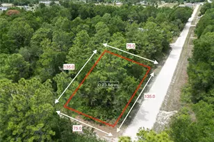 Tbd SW 31st Pl, Ocala, FL 34481 - Photo 1