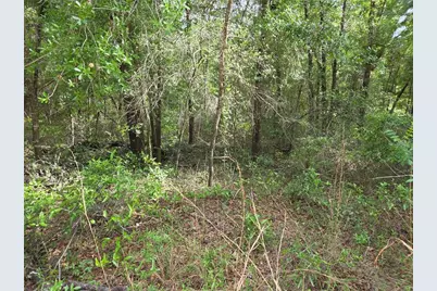 0000 NE 85th Street, Bronson, FL 32621 - Photo 1