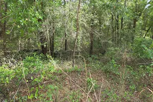 0000 NE 85th St, Bronson, FL 32621 - Photo 1