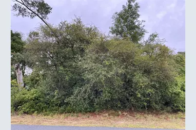 Sw 165th Place, Ocala, FL 34473 - Photo 1