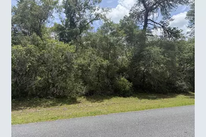 Tbd SW 29th Terrace Road, Ocala, FL 34473 - Photo 1