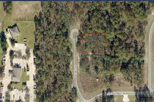 Tba SW 66 Terrace, Ocala, FL 34473 - Photo 1
