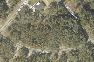 Sequoia Loop Dr, Ocklawaha, FL 32179 - Photo 1