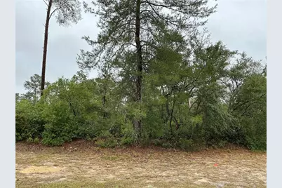 Sw 20th Court, Ocala, FL 34473 - Photo 1